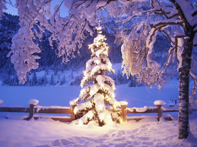 Новый год (212 обоев)