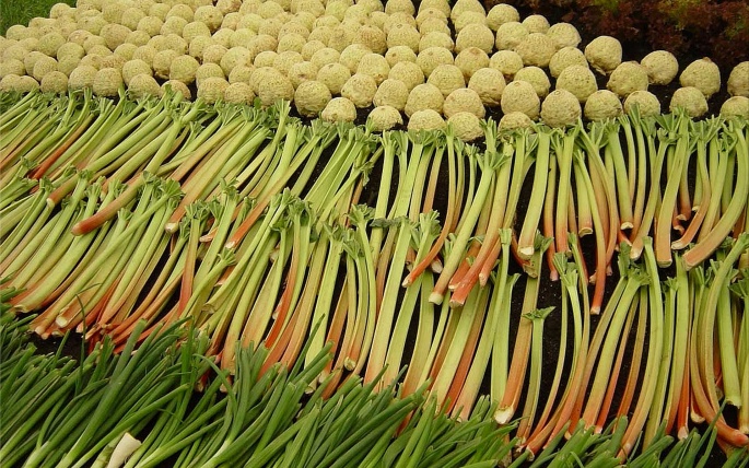 Овощи</div></body></html>