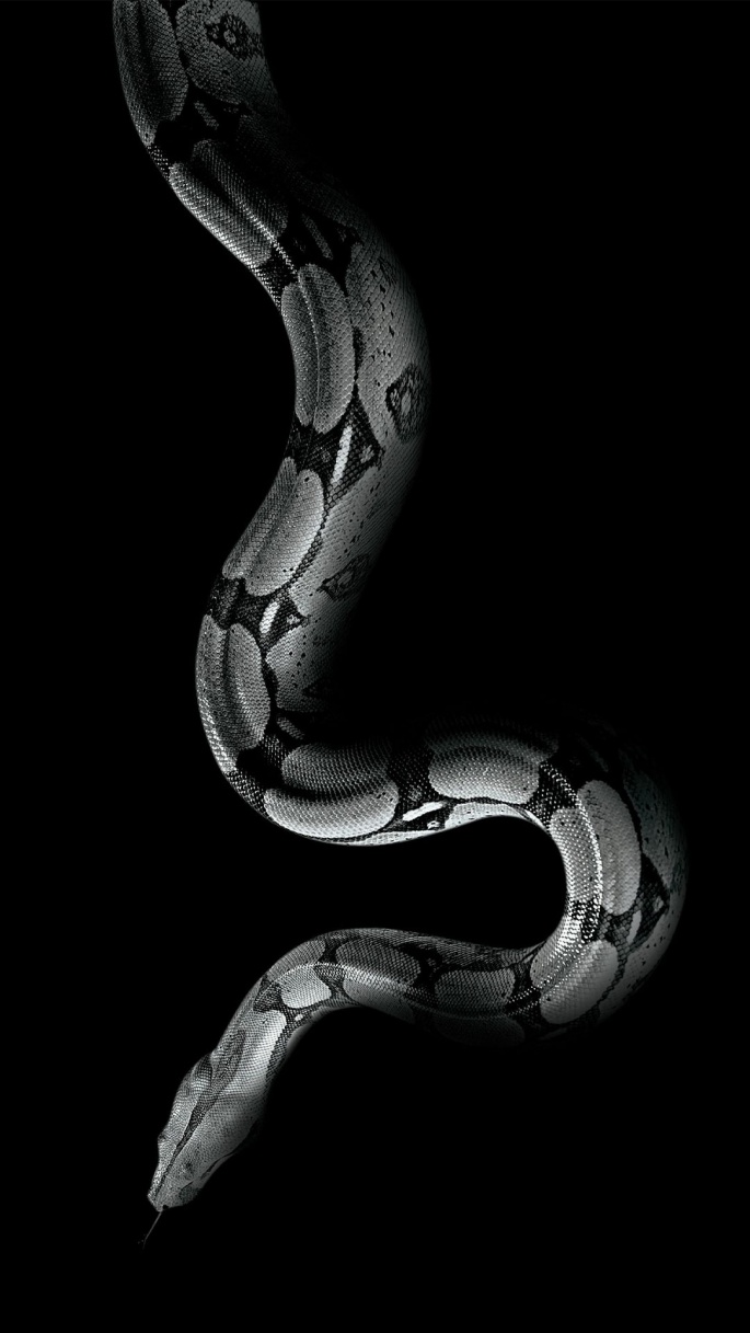 Snake. Wallpapers for iPhone (22 wallpapers) » Смотри Красивые Обои,  Wallpapers, Красивые обои на рабочий стол