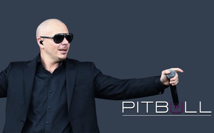 Репер Pitbull (41 шпалер)