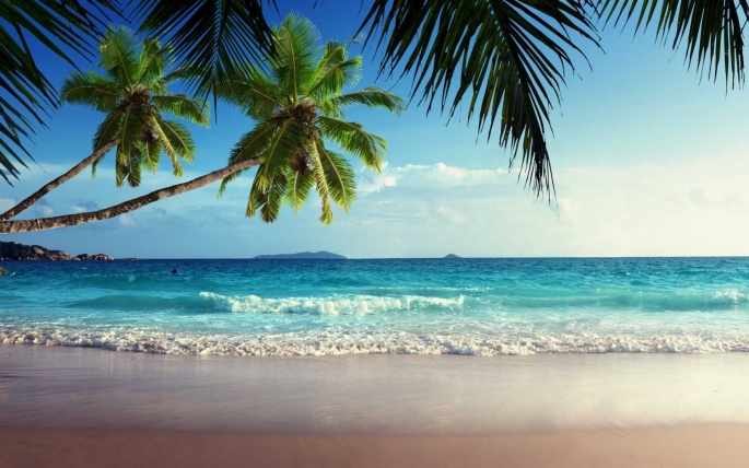 Тропічний пляжний пейзаж (60 шпалер)