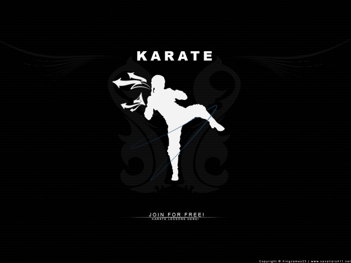 Karate Kyokushin Print, Karate Wallpaper, Kyokushin Painting, Kyokushin  Home Decor, Kyokushin Art iPhone 12 Mini Case by Mariusz Szmerdt - Fine Art  America