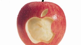 Яблучний бренд в шпалерах (60 шпалер)