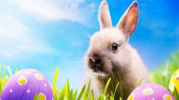 Easter. Easter toys, kids and animals (50 wallpapers)