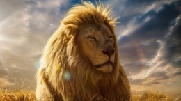 Король лев. 4K Wallpapers (36 обоев)