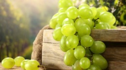 Виноград - Grapes 3 (66 обоев)