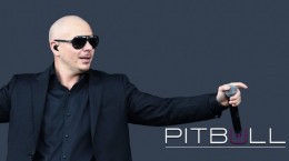 Рэпер Pitbull (41 обоев)