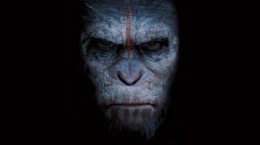 Planet of the Apes (50 wallpapers)