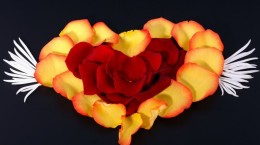 Романтичний креатив із троянд (32 шпалер)
