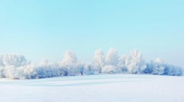 Зимові пейзажі (90 шпалер)