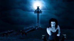 Gothic 2 (464 wallpapers)