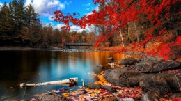 Autumn nature (49 wallpapers)