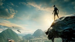 Movies Black Panther (61 wallpapers)