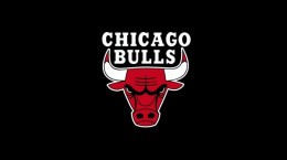 Логотип Bulls (55 шпалер)