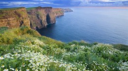 Ірландський пейзаж (56 шпалер)