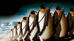 Пінгвіни (55 шпалер)