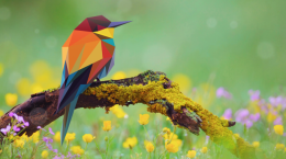 Wallpaper with geometric birds (16 wallpapers)