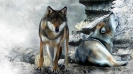 Волки рисованные (55 обоев)