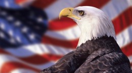 American Eagles (65 wallpapers)