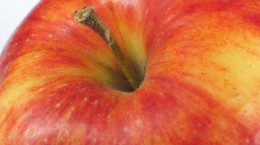Яблука - Apple (65 шпалер)