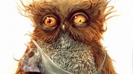 Owls 4 (65 wallpapers)